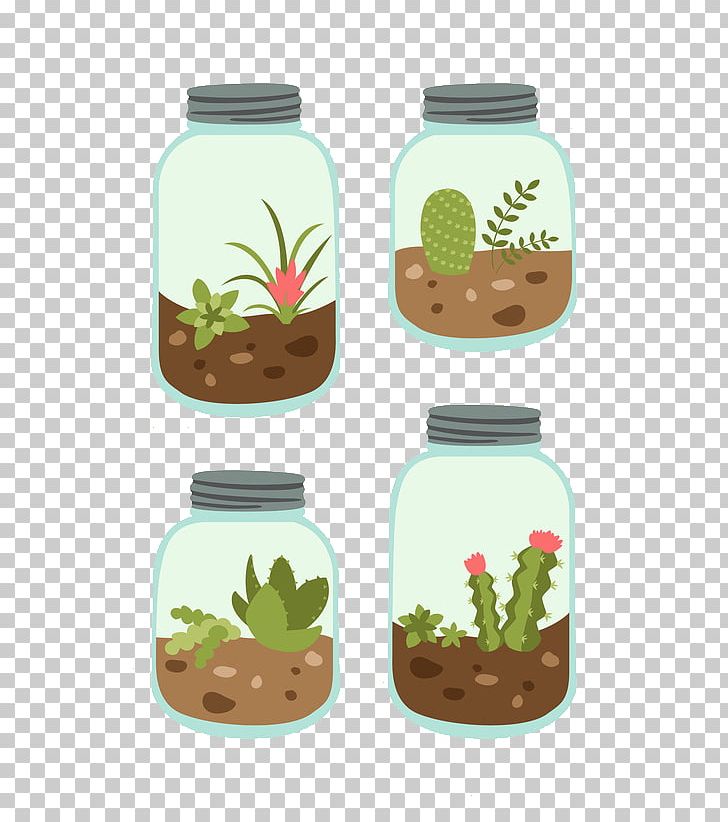 Cactus Y Suculentas Cactaceae Succulent Plant Header PNG, Clipart, Balloon Cartoon, Bottle, Boy Cartoon, Cactaceae, Cactus Free PNG Download