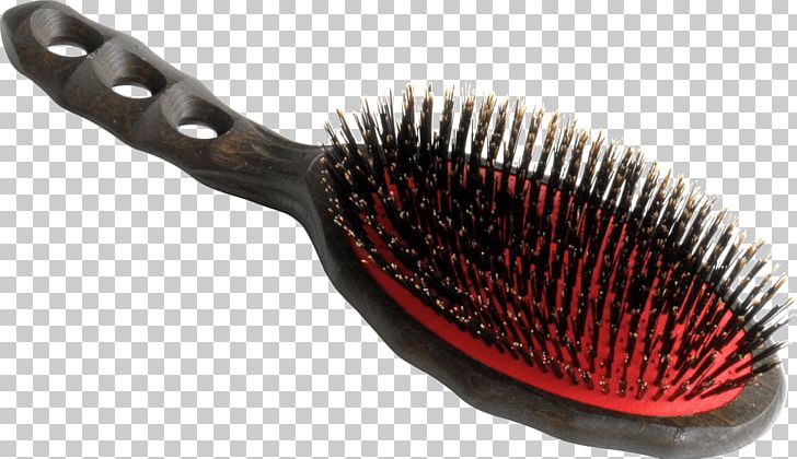 Comb Brush Bristle Hair Wild Boar PNG, Clipart, Air Brush, Bristle, Brush, Comb, Hair Free PNG Download