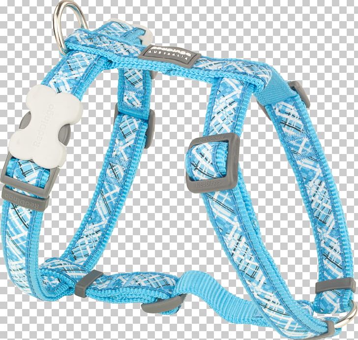 Dog Harness Dingo Puppy Horse Harnesses PNG, Clipart, Animals, Blue, Collar, Dingo, Dog Free PNG Download