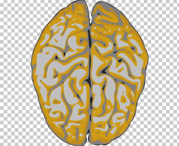 Human Brain PNG, Clipart, Brain, Brain Icon, Clip, Computer Icons, Download Free PNG Download