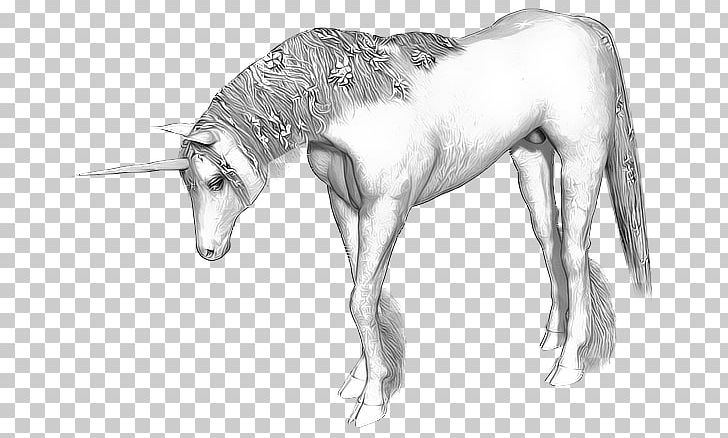 Unicorn Horn Horse Legendary Creature Unicorn Horn PNG, Clipart, Black And White, Drawing, Fairy Tale, Fauna, Fictional Character Free PNG Download