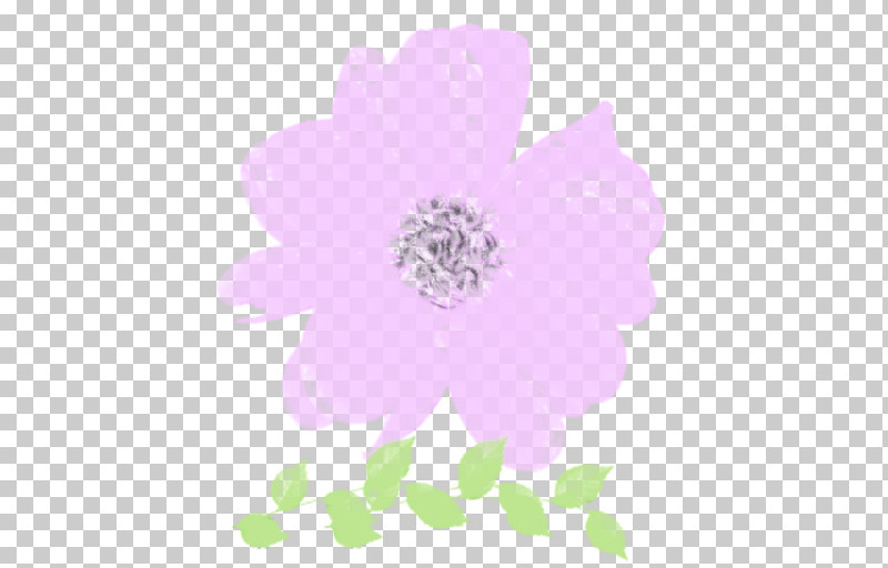 Pink Petal Violet Flower Plant PNG, Clipart, Anemone, Flower, Flowering Plant, Magenta, Paint Free PNG Download