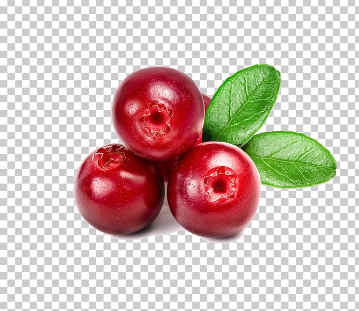 Cranberry Juice Cranberry Juice Lingonberry PNG, Clipart, Acerola, Acerola Family, Berry, Blackcurrant, Cherry Free PNG Download