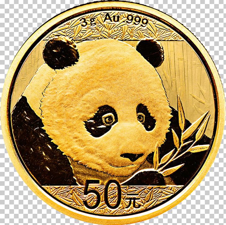 Giant Panda Chinese Gold Panda Gold Coin Bullion Coin PNG, Clipart, American Gold Eagle, Bullion, Bullion Coin, Carnivoran, Chinese Gold Panda Free PNG Download