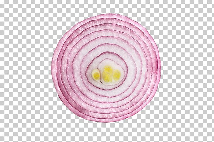 United States French Onion Soup Red Onion Yellow Onion PNG, Clipart, Core, Free, Free To Pull The Material, Fresh, Line Free PNG Download