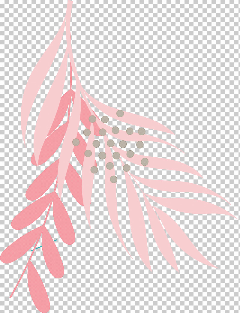 Feather PNG, Clipart, Biology, Feather, Flower, Leaf, Line Free PNG Download