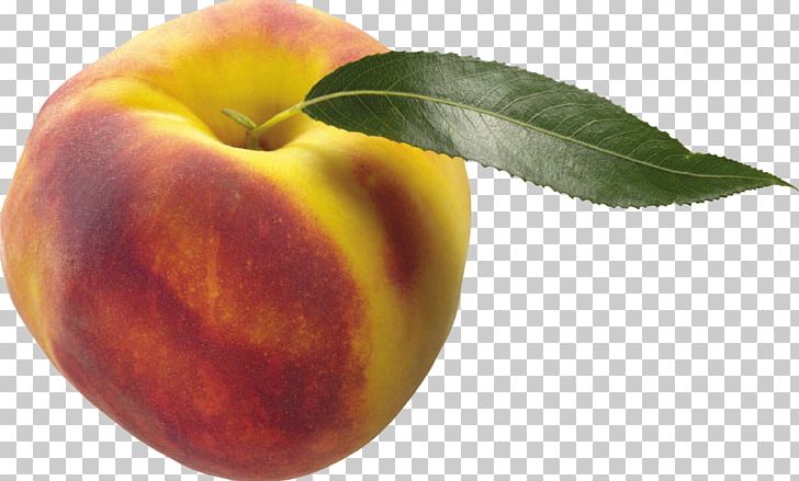Apricot Nectarine Food Peach PNG, Clipart, Apple, Apricot, Diet, Diet Food, Food Free PNG Download
