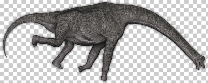 Canidae Dog Dinosaur White Tail PNG, Clipart, Animal, Animal Figure, Animals, Black And White, Brachiosaurus Free PNG Download