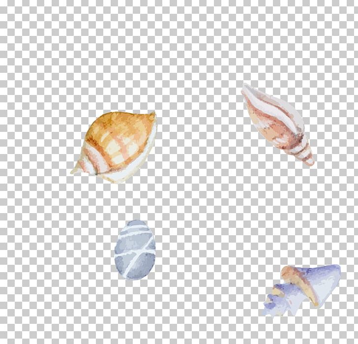 Seashell Clam Sea Snail Watercolor Painting Illustration PNG, Clipart, Color Powder, Color Smoke, Color Splash, Color Vector, Conch Free PNG Download