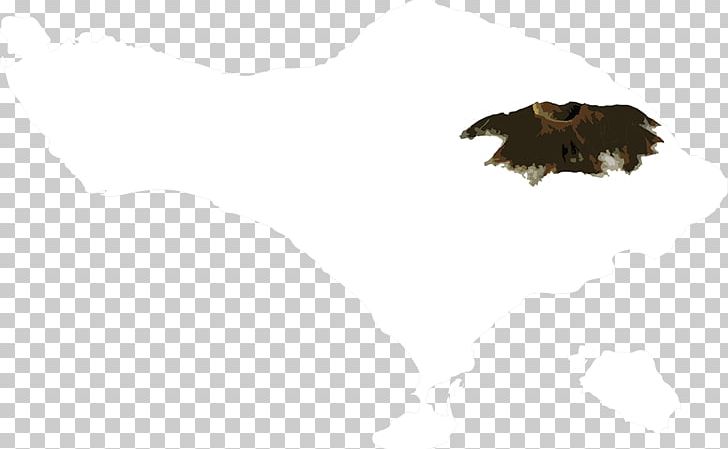 Bird Of Prey Bald Eagle Beak PNG, Clipart, Animal, Animals, Bald Eagle, Beak, Bird Free PNG Download