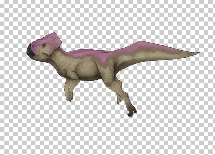 Velociraptor Graciliceratops Ceratopsia Late Cretaceous Aardonyx PNG, Clipart, Aardonyx, Animal, Biology, Cartoon Dinosaur, Dinosaur Egg Free PNG Download