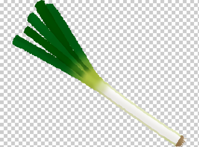 Welsh Onion Onions PNG, Clipart, Onions, Welsh Onion Free PNG Download