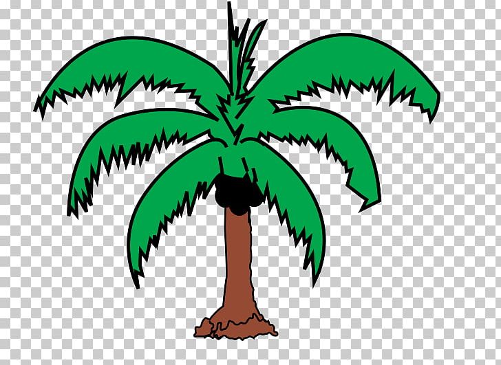 Arecaceae Coconut Tree Leaf PNG, Clipart, Arecaceae, Arecales, Artwork, Asian Palmyra Palm, Coconut Free PNG Download