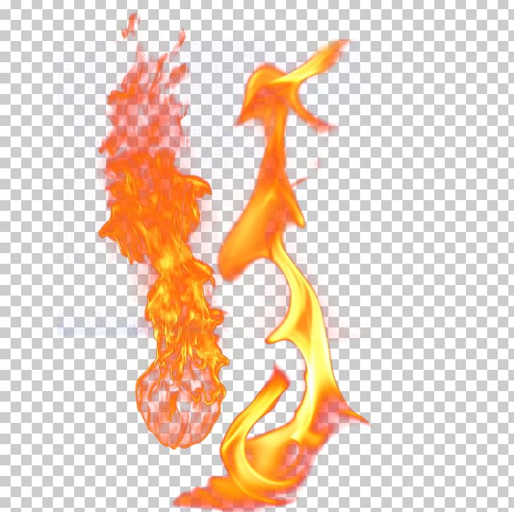 Flame Light Fire PNG, Clipart, Burning It Youth, Burning The Little Universe, Burn It, Cartoon, Combustion Free PNG Download
