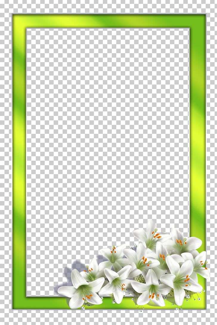 Floral Design Cut Flowers PNG, Clipart, Adobe Systems, Advertising, Blossom, Border, Bos Free PNG Download