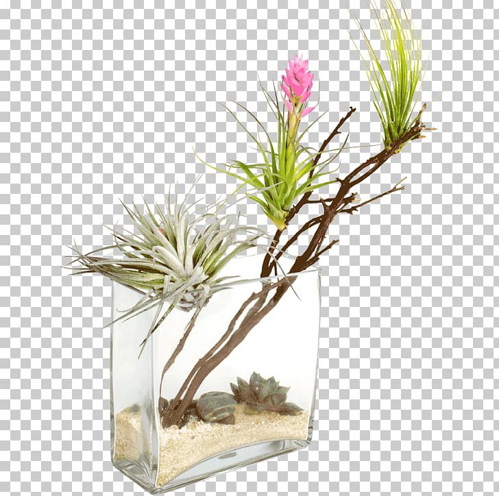 Thar Desert Desert Climate Plant Oasis PNG, Clipart, Aquarium Decor, Arid, Desert, Desert Climate, Flora Free PNG Download