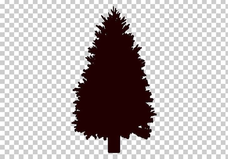 Pinus Palustris Scots Pine Tree PNG, Clipart, Christmas Decoration, Christmas Ornament, Christmas Tree, Clip Art, Conifer Free PNG Download