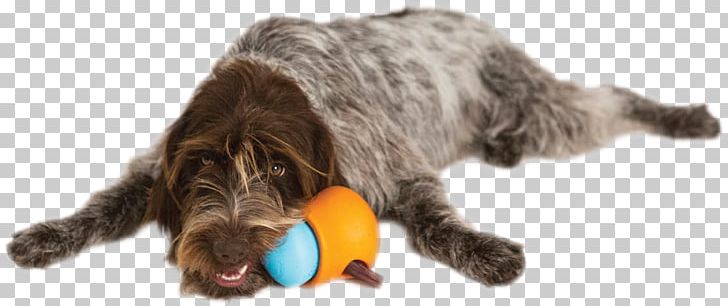 Wirehaired Pointing Griffon Dog Toys Cat Puppy PNG, Clipart, Animal Figure, Cat, Chew Toy, Chewy, Customer Service Free PNG Download