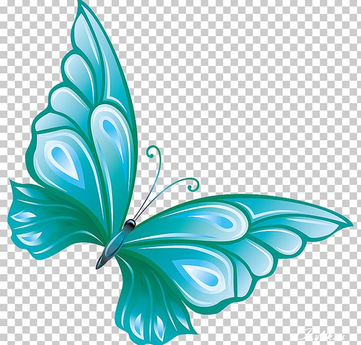 Butterfly Portable Network Graphics Open PNG, Clipart, Aqua, Blue Butterfly, Butterflies And Moths, Butterfly, Butterfly Clipart Free PNG Download