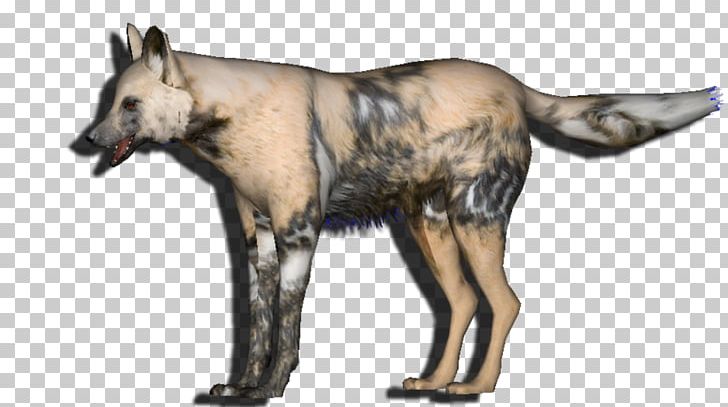 Dog Fauna Snout Wildlife Gray Wolf PNG, Clipart, African Wild Dog, Animals, Carnivoran, Dog, Dog Like Mammal Free PNG Download