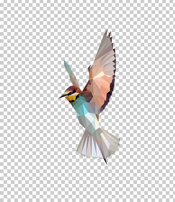 Hummingbird Low Poly Polygon Geometry PNG, Clipart, Animal, Animals, Beak, Beeeater, Bird Free PNG Download