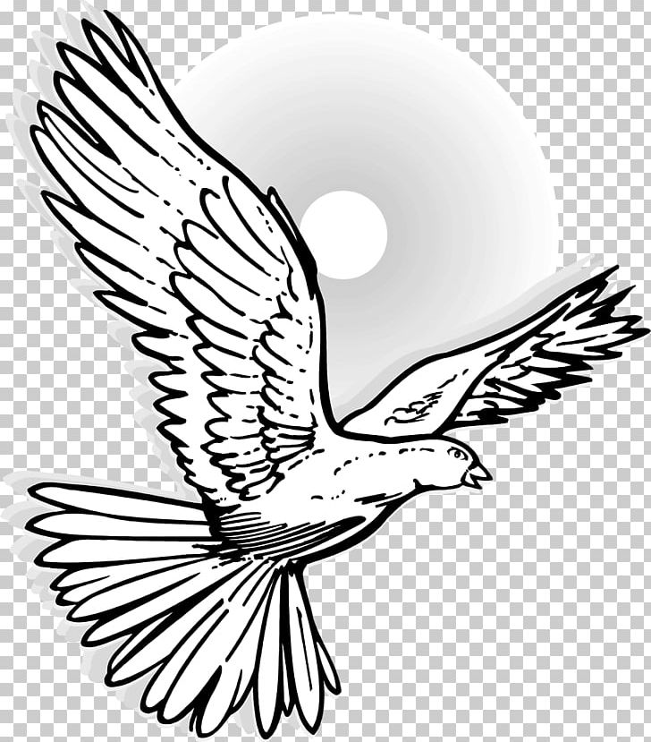 Columbidae Drawing Mourning Dove PNG, Clipart, Animals, Art, Artwork, Beak, Bird Free PNG Download