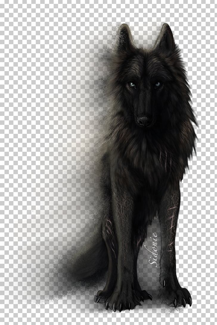 Drawing Dog YouTube PNG, Clipart, Animals, Anime, Art, Belgian Shepherd, Black And White Free PNG Download