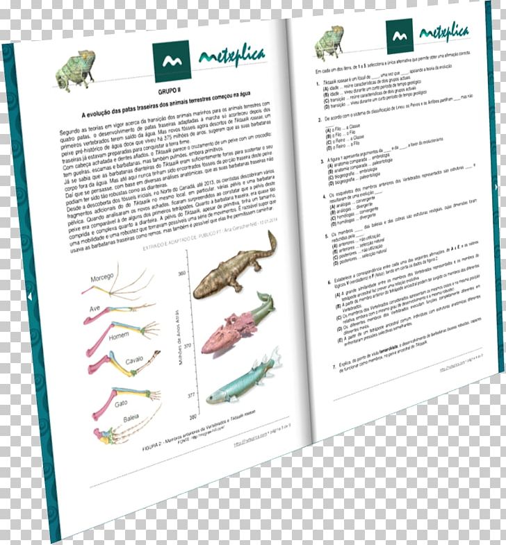 Henning Municipal Airport Organism Product PNG, Clipart, Brochure, Henning Municipal Airport, Organism, Paper, Text Free PNG Download