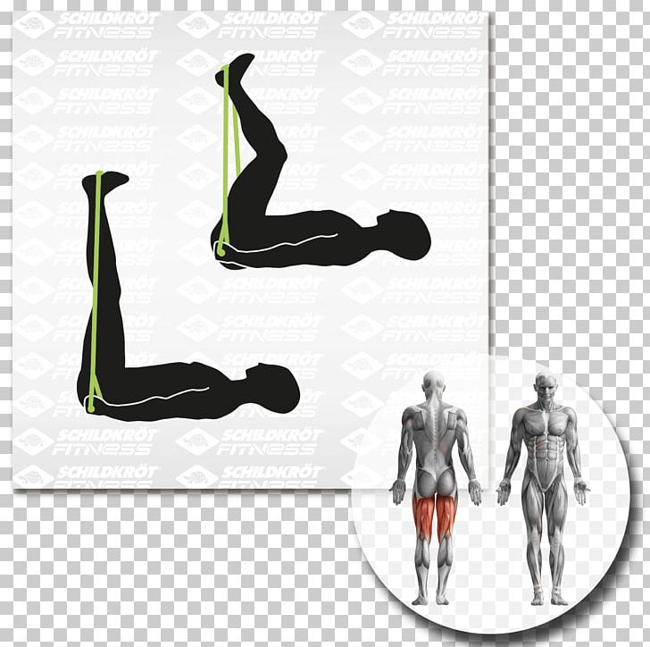 Physical Fitness Balance Board Exercise Equipment Muscle Arm PNG, Clipart, Anatomy, Arm, Balance Board, Color, Dumbbell Free PNG Download