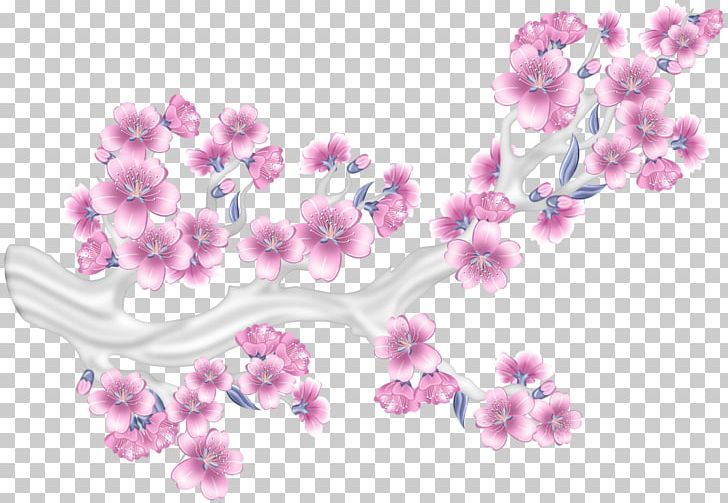Pink Flower PNG, Clipart, Blossom, Branch, Cherry Blossom, Computer Software, Flower Free PNG Download