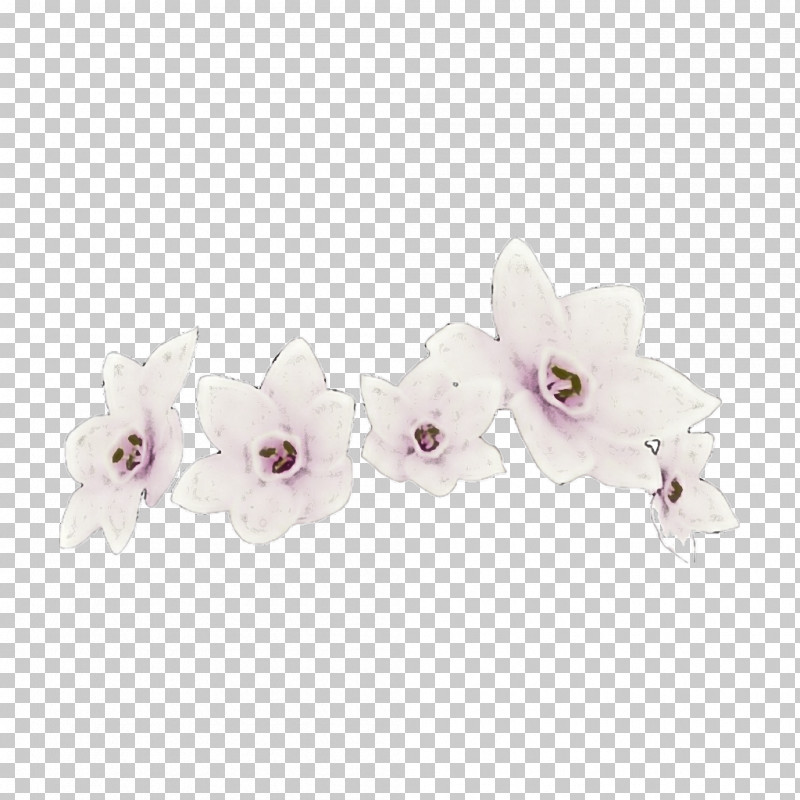 White Violet Pink Lilac Flower PNG, Clipart, Blossom, Branch, Cattleya, Cut Flowers, Dendrobium Free PNG Download