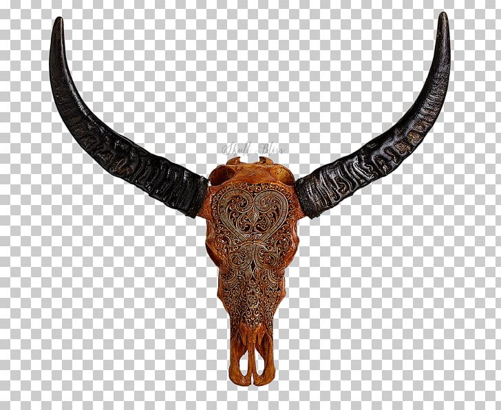 Animal Skulls Cattle Horn PNG, Clipart, American Bison, Animal, Animal Skulls, Antique, Cargo Free PNG Download
