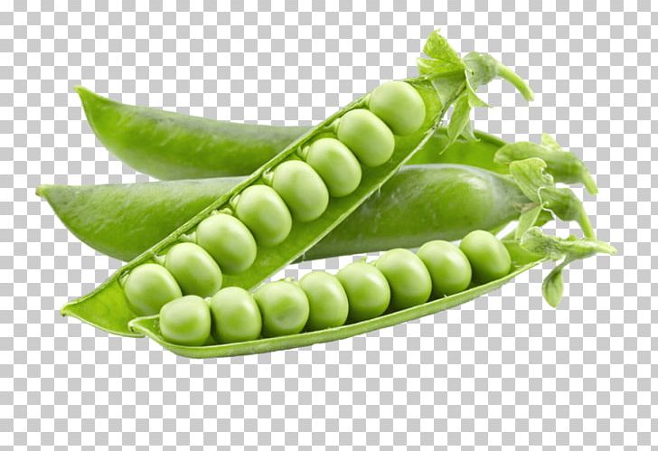 Lentil Snow Pea Legume Vegetable Pod PNG, Clipart, Bean, Chickpea, Commodity, Drink, Easily Free PNG Download
