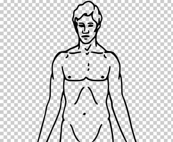 Tobacco Smoking Adverse Effect Human Body PNG, Clipart, Abdomen, Addiction, Adverse Effect, Area, Arm Free PNG Download