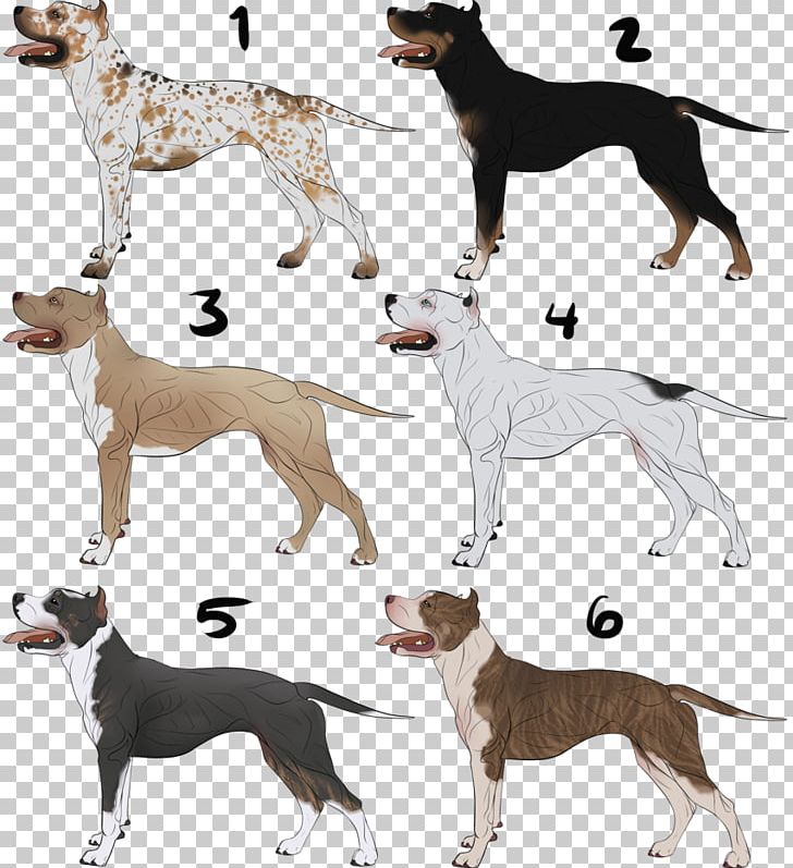 Lurcher Italian Greyhound Whippet Spanish Greyhound PNG, Clipart, American Bully, American Staghound, Ancient Dog Breeds, Breed, Carnivoran Free PNG Download