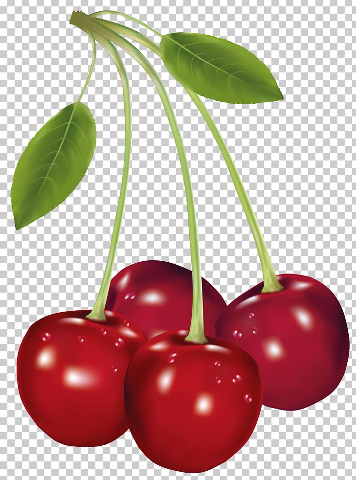 Cherry Fruit PNG, Clipart, Acerola, Art, Berry, Blueberry, Cherries Free PNG Download