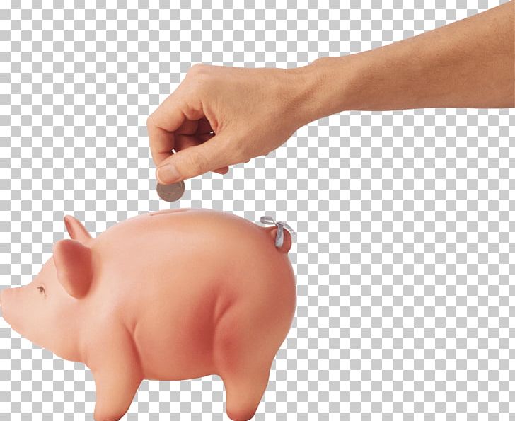 Domestic Pig Piggy Bank Icon PNG, Clipart, Architecture, Computer Icons, Data Compression, Dollar Coin, Domestic Pig Free PNG Download