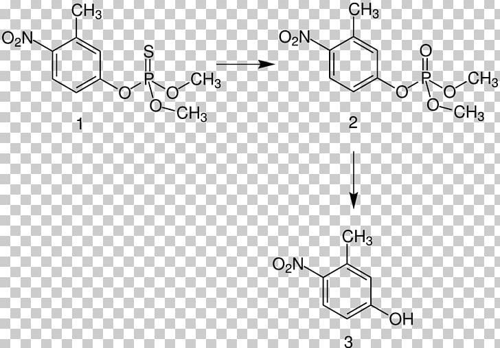Fenitrothion Organophosphorus Compound University Of Huelva Insecticide Demethylation PNG, Clipart, Acetylcholinesterase Inhibitor, Angle, Area, Auto Part, Bayer Free PNG Download
