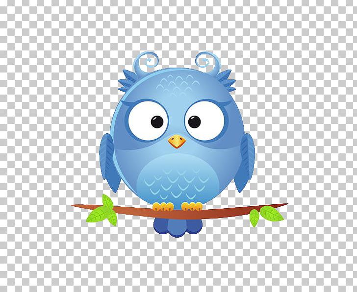 Owl Bird Cuteness PNG, Clipart, Animals, Beak, Bird, Bird Of Prey, Cute Ladybug Free PNG Download