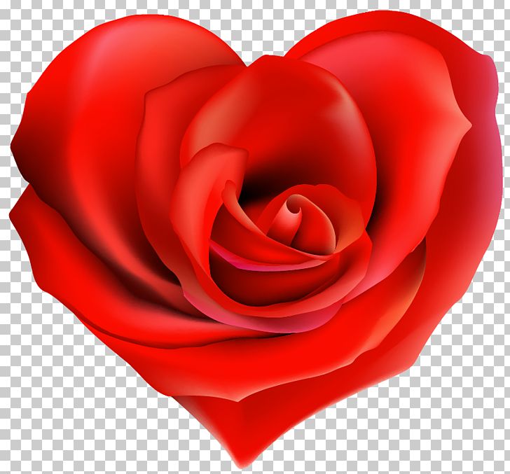 Tea Garden Roses Heart Ring PNG, Clipart, Closeup, Cut Flowers, Decor, Encapsulated Postscript, Flower Free PNG Download