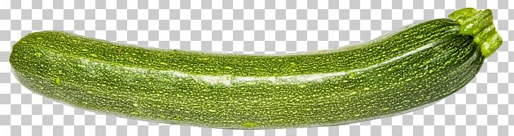 Zucchini Pickled Cucumber Vegetable PNG, Clipart, Cart99, Computer Icons, Courgette, Cucumber, Cucumber Gourd And Melon Family Free PNG Download