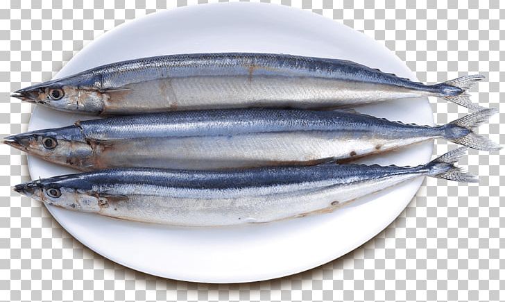 Sardine Pacific Saury Fish Products Oily Fish PNG, Clipart, Anchovies As Food, Anchovy, Anchovy Food, Animals, Animal Source Foods Free PNG Download