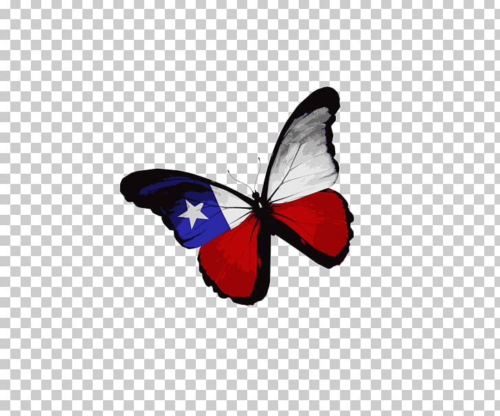 Flag Of Texas Flag Of The United States Flag Of Oman Stock Photography PNG, Clipart, Blue Butterfly, Brush Footed Butterfly, Butterflies, Butterfly, Butterfly Group Free PNG Download