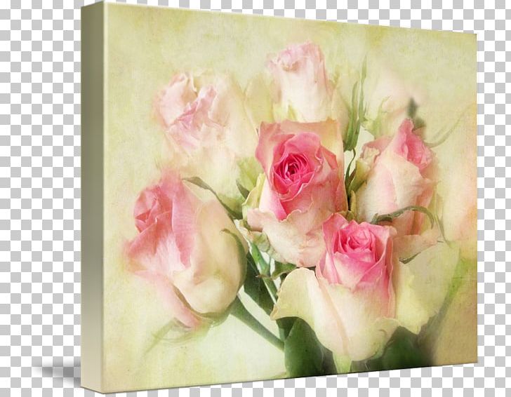 Garden Roses Cabbage Rose Pink Floral Design PNG, Clipart, Artificial Flower, Color, Cut Flowers, Floral Design, Floristry Free PNG Download