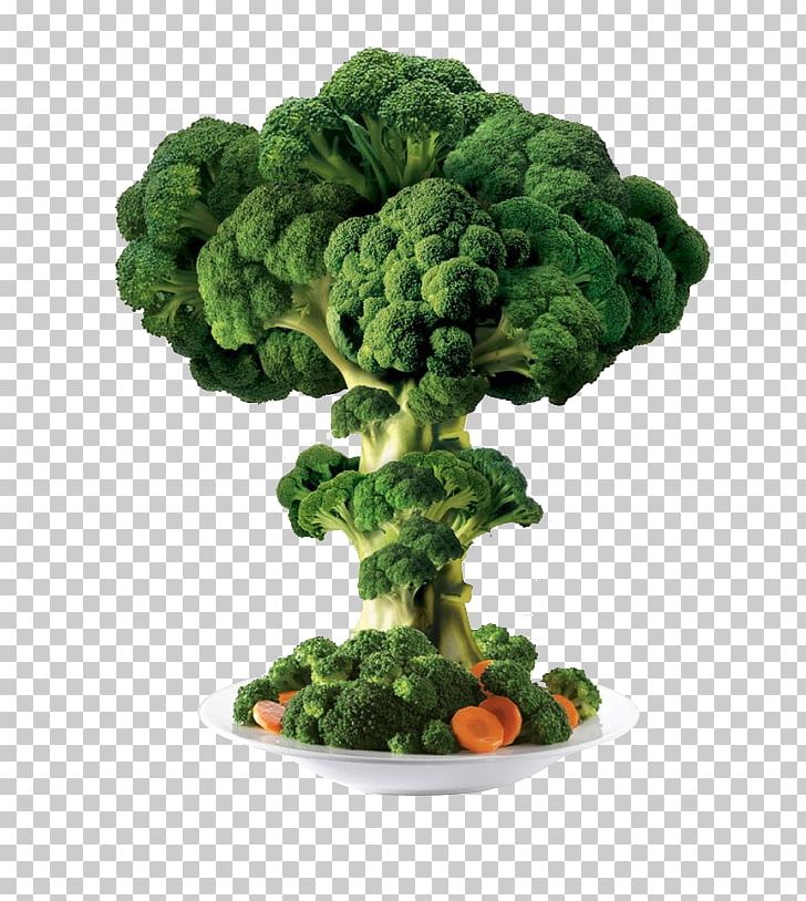 Broccoli Vegetable PNG, Clipart, Adobe, Broccoli, Carrot, Creative, Creative Ads Free PNG Download