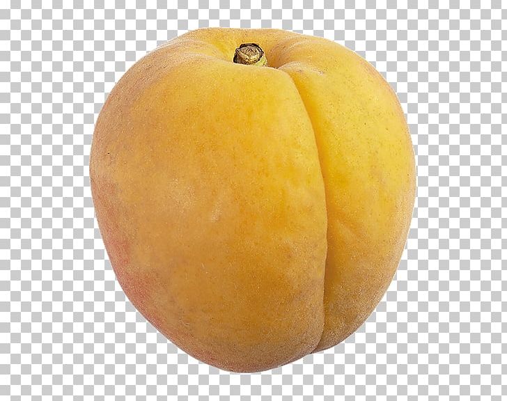 Calabaza Peach Winter Squash Gourd Cucurbita PNG, Clipart, Apple, Apricot, Calabaza, Cucurbita, Exp Free PNG Download