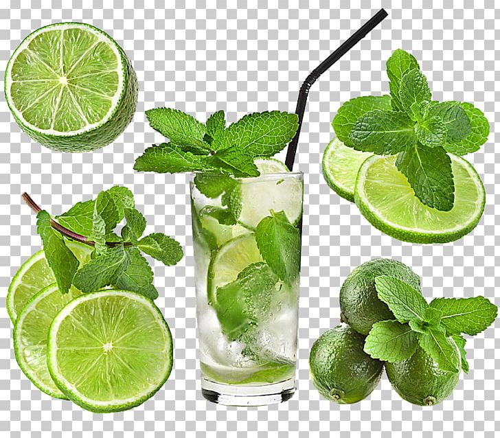 Cocktail Iced Tea Water Mint Rock Candy PNG, Clipart, Autumn Leaf, Citrus, Cocktail Garnish, Cool, Cup Free PNG Download