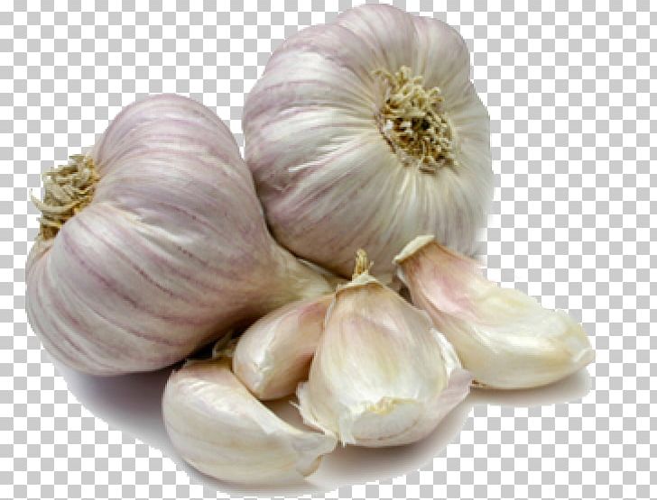 Garlic Scape Bulb Clove Food PNG, Clipart, Allicin, Bulb, Clove, Elephant Garlic, Food Free PNG Download