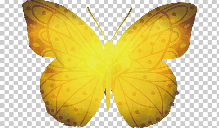 Monarch Butterfly Pieridae Nymphalidae PNG, Clipart, Adobe Illustrator, Arthropod, Brush Footed Butterfly, Butterflies, Butterfly Group Free PNG Download
