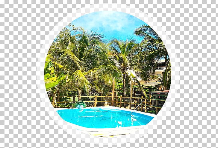Swimming Pool Leisure Bed And Breakfast Inn Water PNG, Clipart, Arecaceae, Arecales, Bed And Breakfast, Caribbean, Duende Free PNG Download